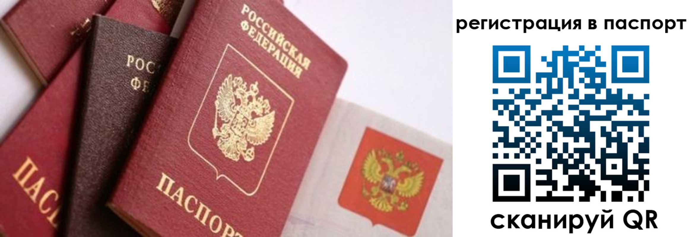 прописка в квартире в Иваново